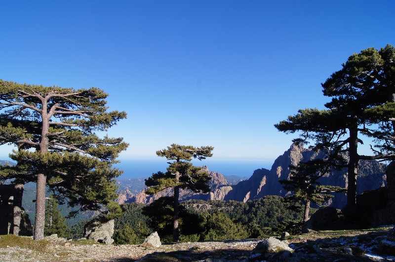 Bavella