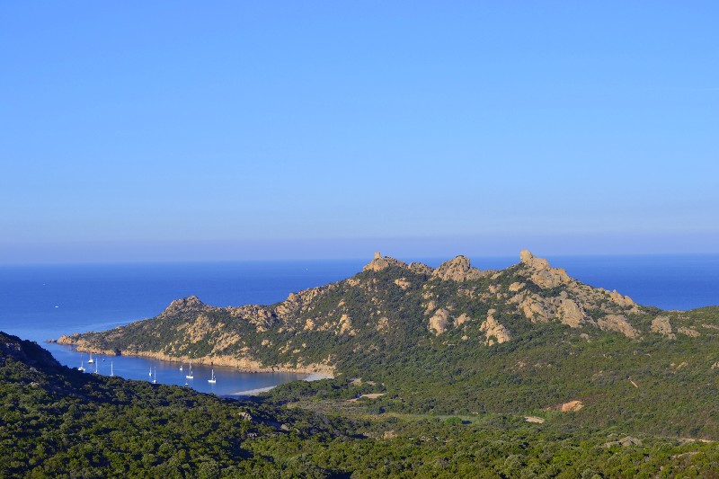 Rocapina